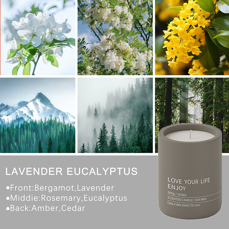 Ningbo Habest casa Co., Ltd.