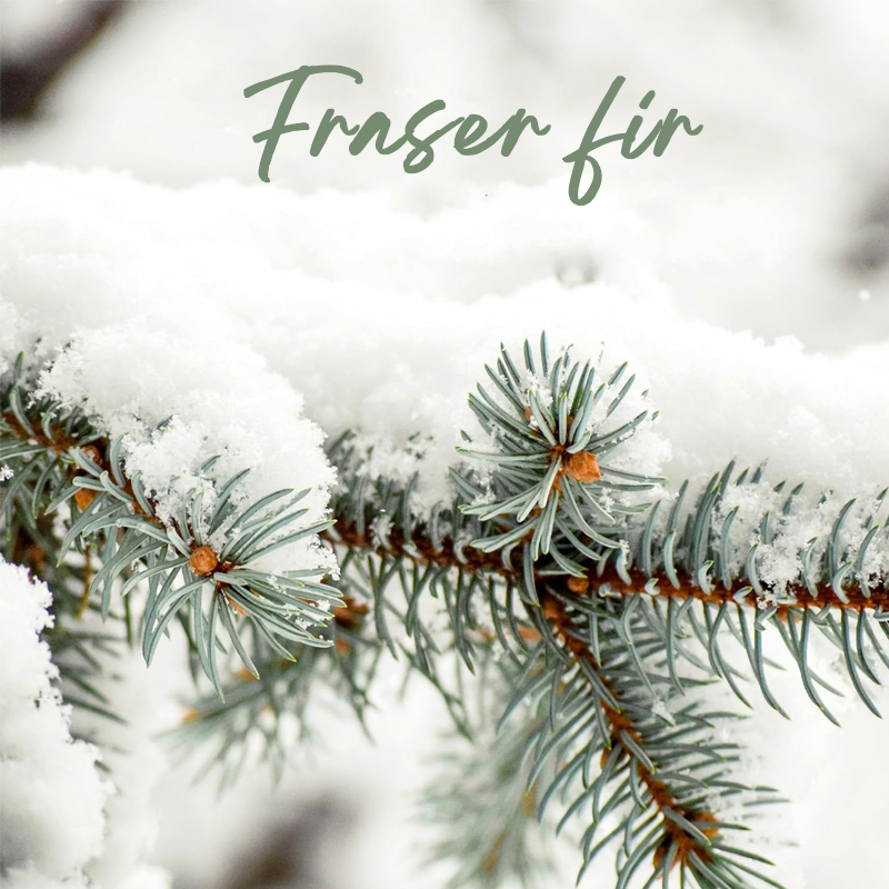 Ningbo Habest casa Co., Ltd.