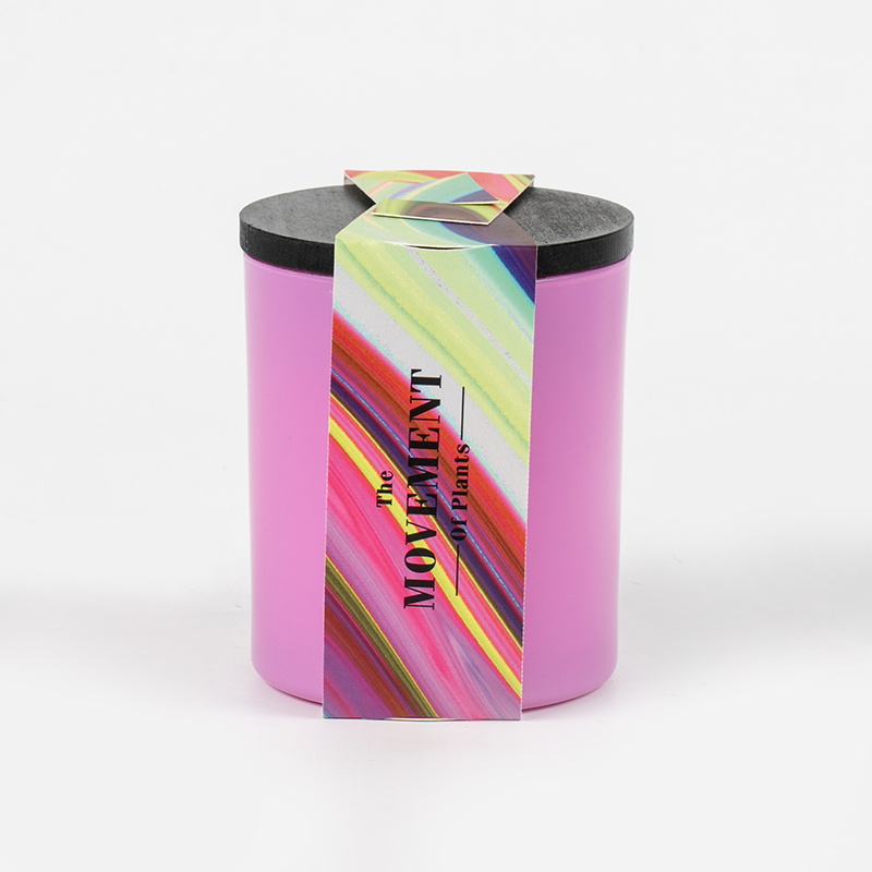 Fornitore di vasi di vetro per candele profumate con candele di soia e bottiglie rotonde in vetro