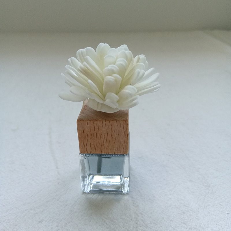 Deodorante quadrato da appendere per auto/profumo per auto/deodorante per bocchette di aerazione per auto/profumo per auto/clip per bocchetta di ventilazione per auto Forte deodorante per ambienti