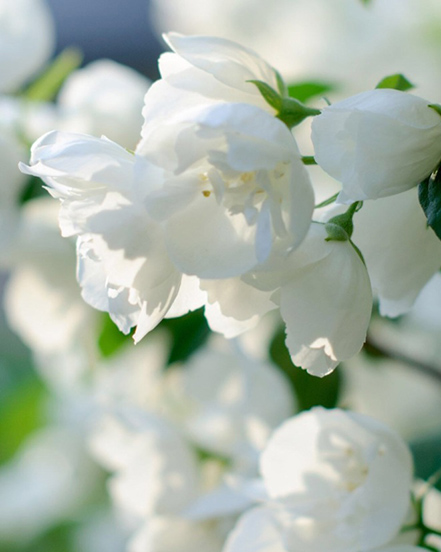 Ningbo Habest casa Co., Ltd.