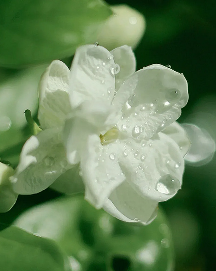 Ningbo Habest casa Co., Ltd.